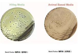 植物源蛋白胨在生物制品中的應(yīng)用及其前景