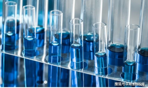 生物制品CDMO服務(wù)商鼎康生物完成超1.9億美元A輪融資，加速產(chǎn)業(yè)布局