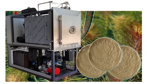 生物制品凍干機(jī)在水蛭凍干粉加工中的應(yīng)用