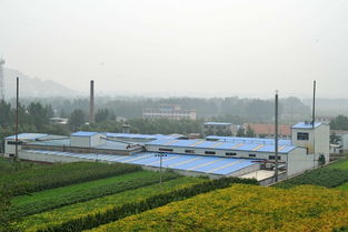 科技偽裝下的食品安全危機(jī) 地溝油流向餐桌的生物制品黑幕