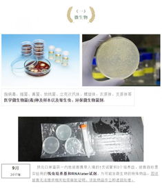 攜帶血液與生物制品進(jìn)出境 海關(guān)監(jiān)管的挑戰(zhàn)與應(yīng)對